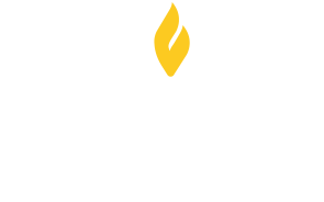 Logo bsu